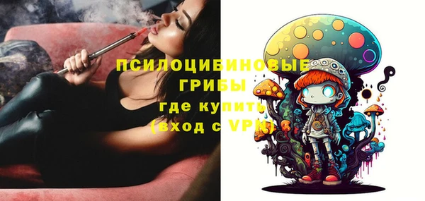 ПСИЛОЦИБИНОВЫЕ ГРИБЫ Медногорск